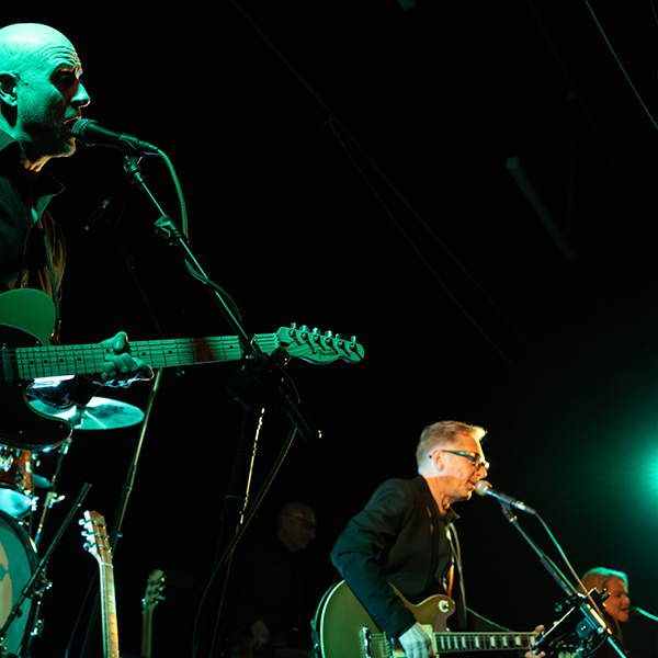 Leaps & Bounds - Paul Kelly Tribute Band - Gallery